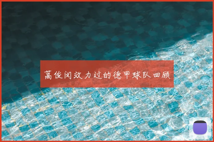 蒿俊闵效力过的德甲球队回顾