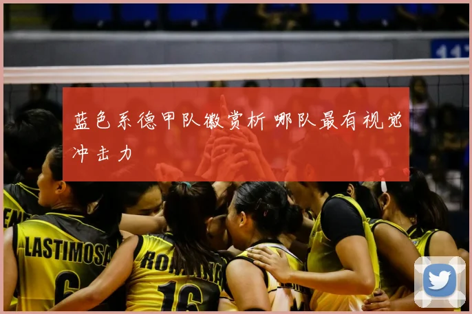 蓝色系德甲队徽赏析 哪队最有视觉冲击力