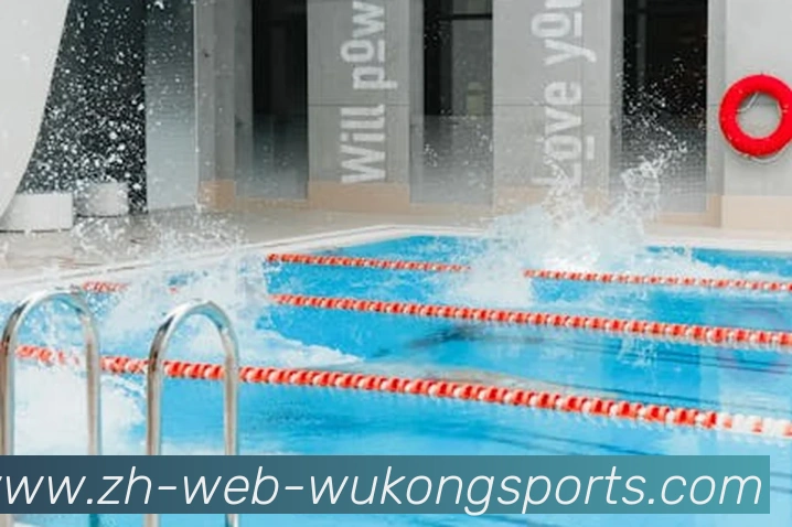 多媒体互动体验